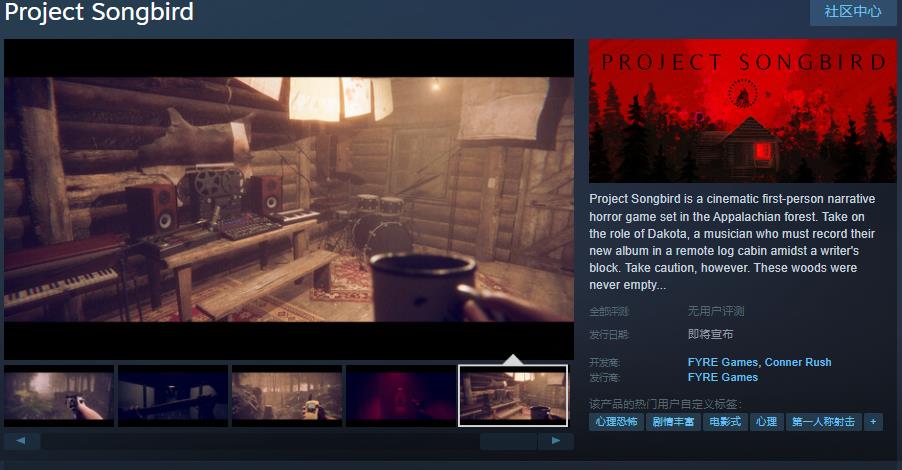 心理恐怖游戏Project SongbirdSteam页面开放 发售日待定