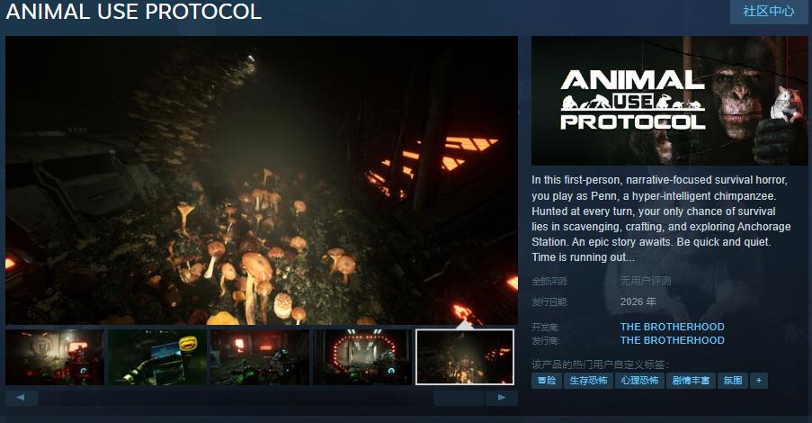 恐怖游戏《动物使用协议》Steam页面公布 后年发行