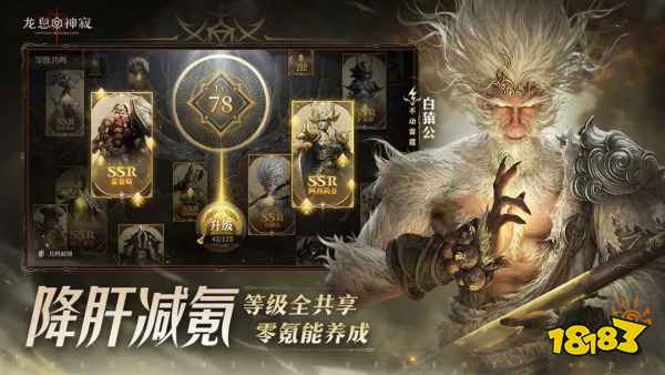 龙息神寂公测英雄强度排行榜2025 s1赛季节奏榜大全